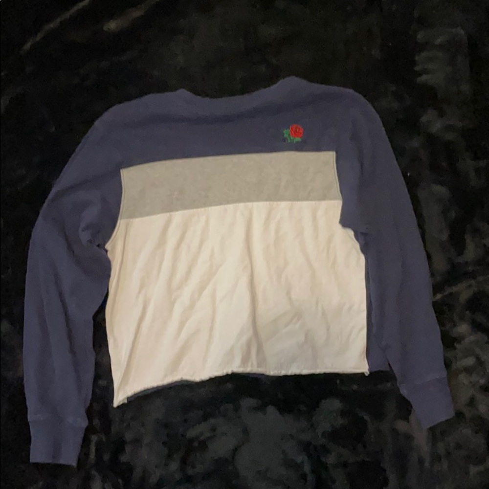 Long sleeve crop top